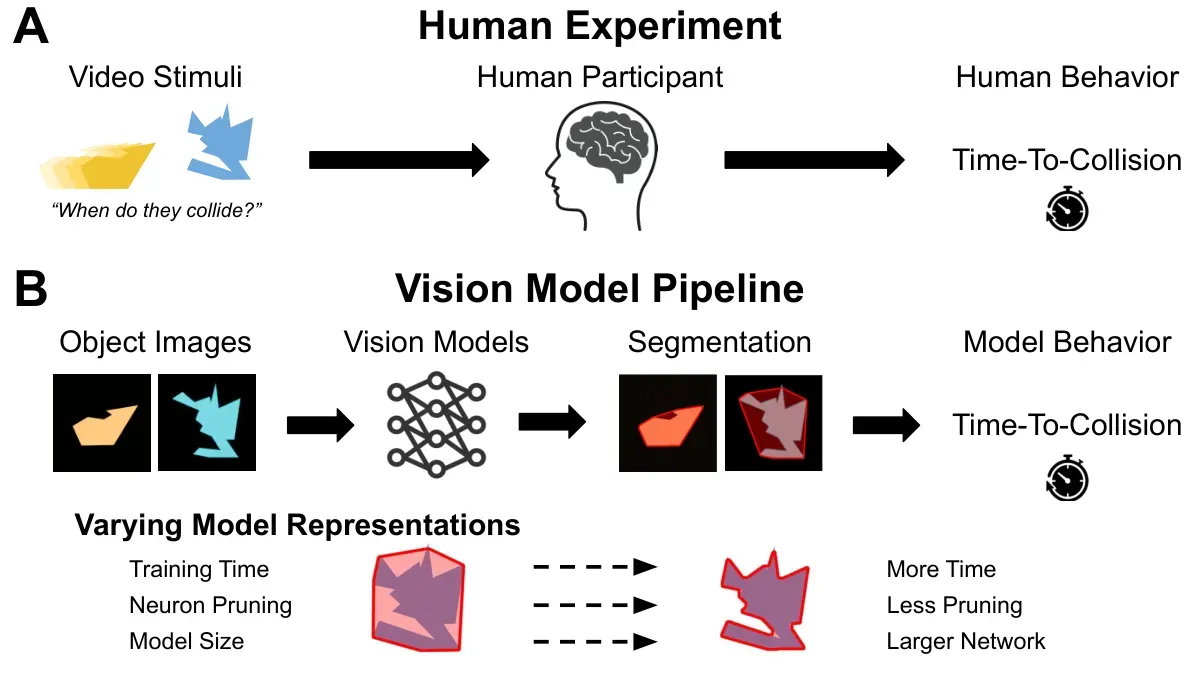 Method overview comparing human and vision-model time-to-collision judgments.