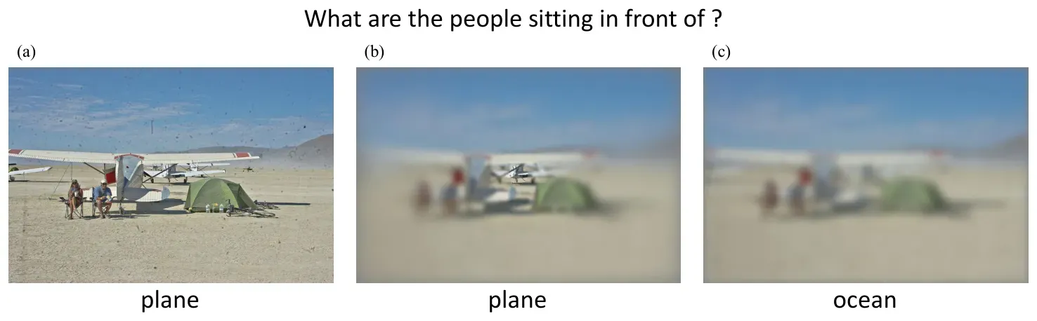 Visual question answering example comparing full, variable, and uniform resolution inputs.